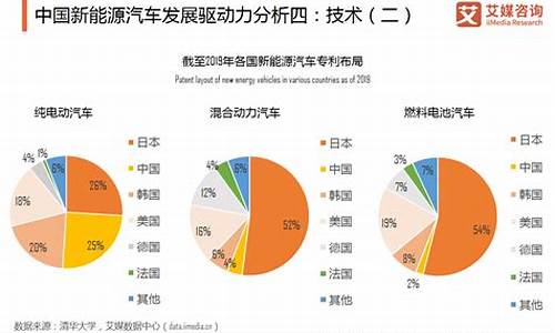 我国新能源汽车产业分析_国内新能源汽车分析